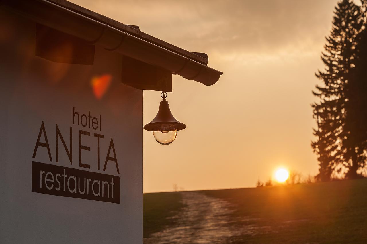 Aneta Hotel & Restaurant Витковице Экстерьер фото