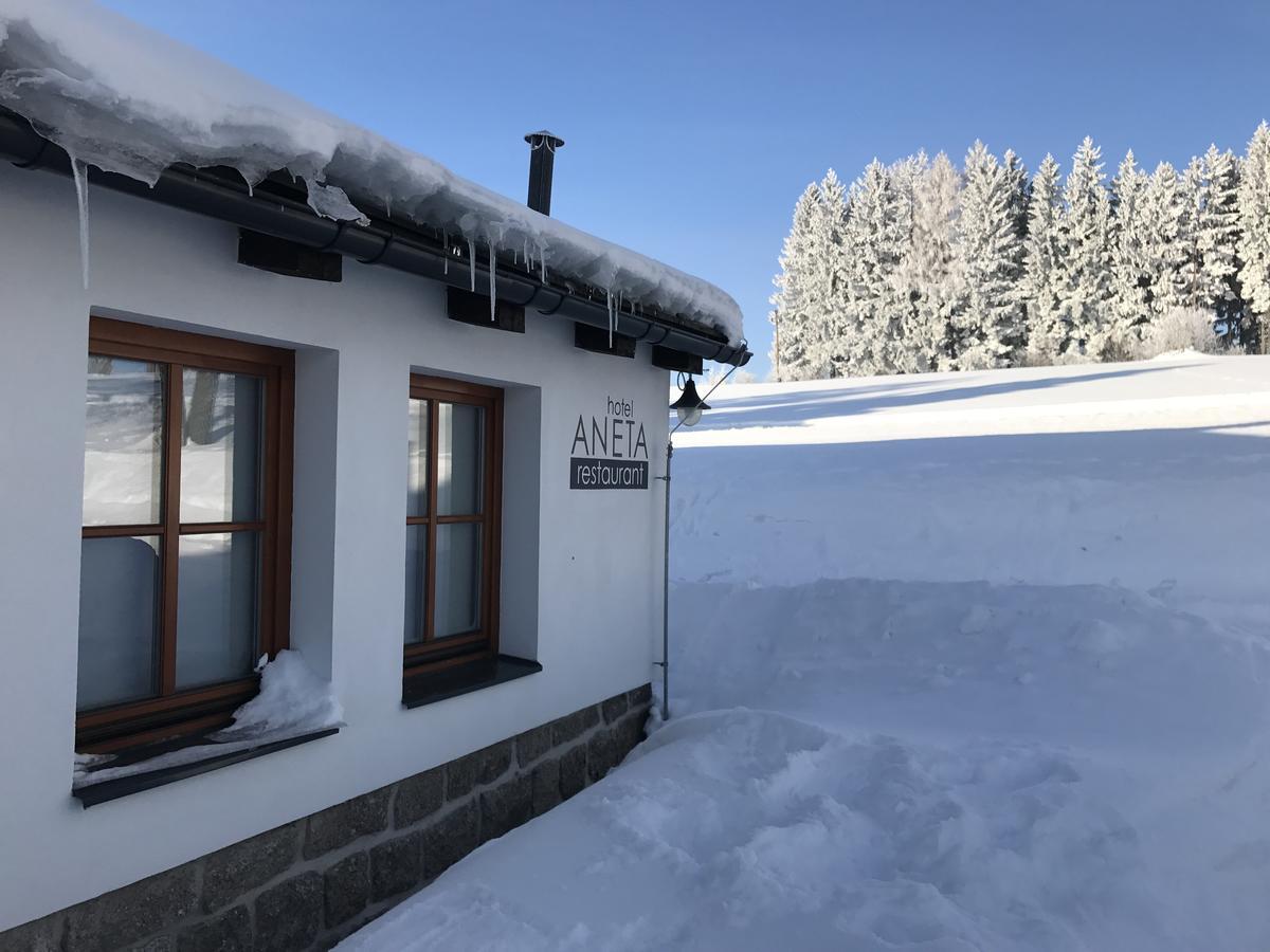 Aneta Hotel & Restaurant Витковице Экстерьер фото